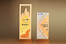 USDT钱包下载指南国际一举斩获“2024年度中国区最佳雇主”等多项大奖